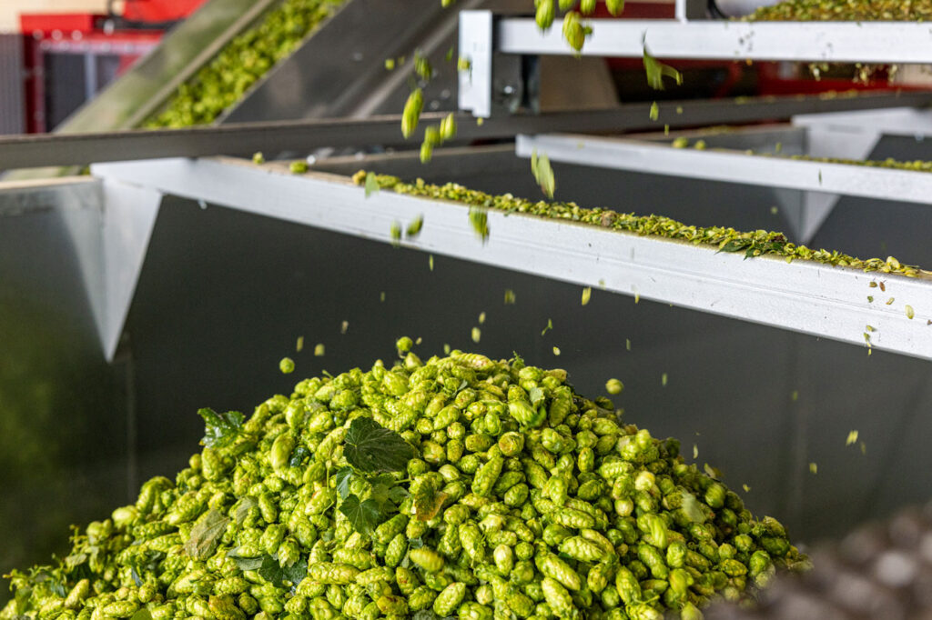 sammelcontainer-hopfen