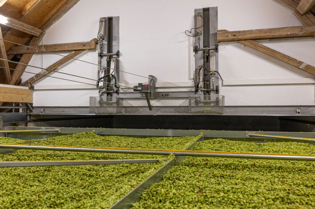 schichttrockner-hopfen